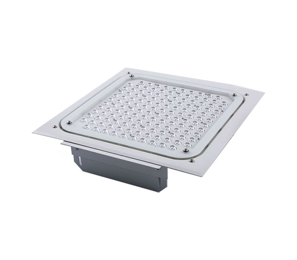 LED CANOPY LIGHT