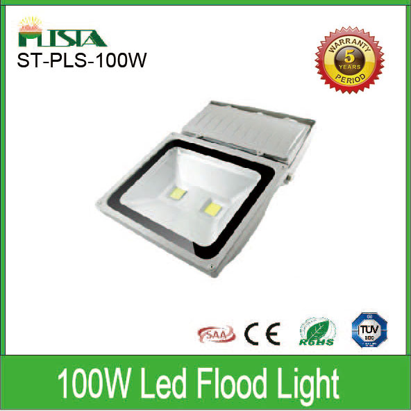 100W LED Flood Light