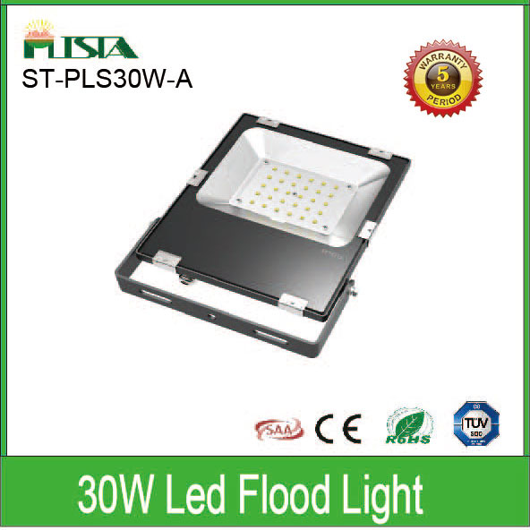 30W LED Flood Light