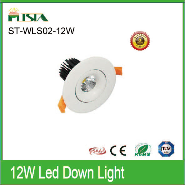 12W LED Down Light