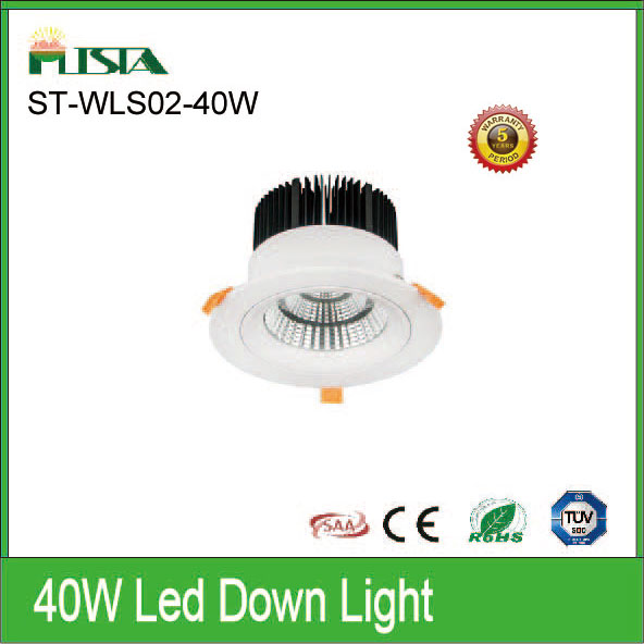 40W LED Down Light