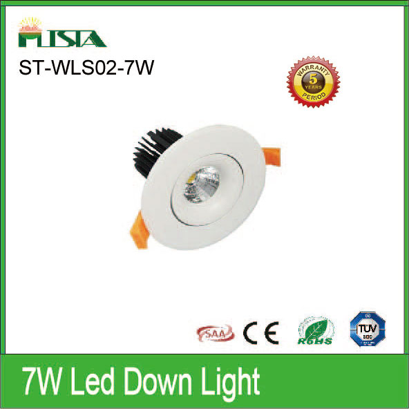 7W LED Down Light